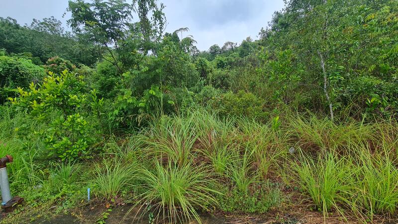 For Sale - ถนนกาญจนวนิช-ทุ่งโดน ตำบลคอหงส์ อำเภอหาดใหญ่ จังหวัดสงขลา, Songkhla