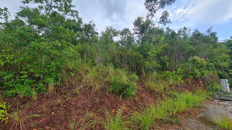 For Sale - ถนนกาญจนวนิช-ทุ่งโดน ตำบลคอหงส์ อำเภอหาดใหญ่ จังหวัดสงขลา, Songkhla