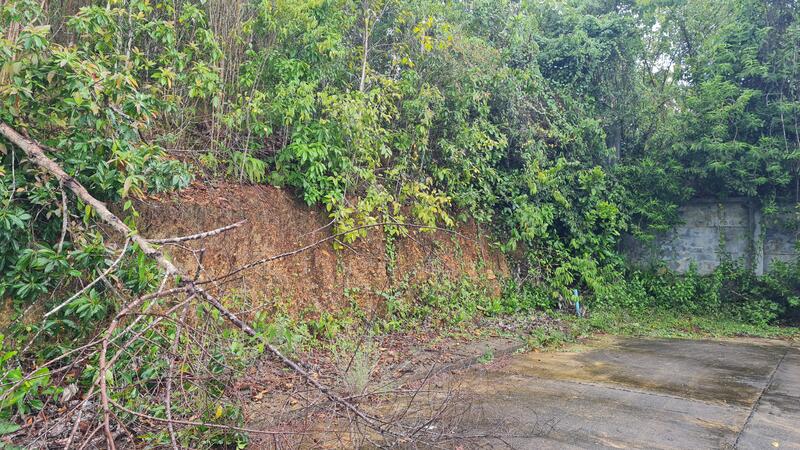 ขาย - ถนนกาญจนวนิช-ทุ่งโดน ตำบลคอหงส์ อำเภอหาดใหญ่ จังหวัดสงขลา, สงขลา