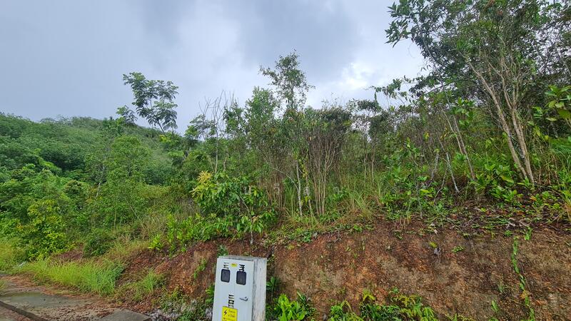 ขาย - ถนนกาญจนวนิช-ทุ่งโดน ตำบลคอหงส์ อำเภอหาดใหญ่ จังหวัดสงขลา, สงขลา