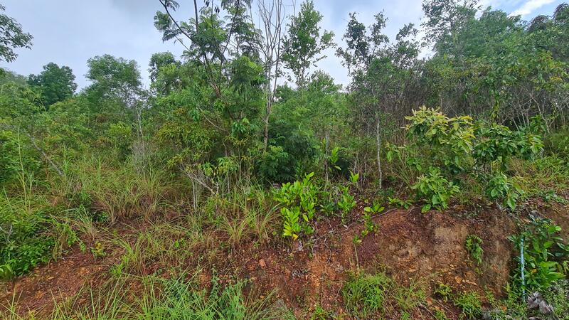 For Sale - ถนนกาญจนวนิช-ทุ่งโดน ตำบลคอหงส์ อำเภอหาดใหญ่ จังหวัดสงขลา, Songkhla