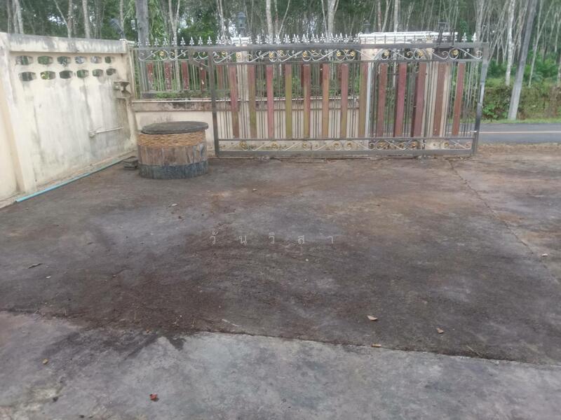 For Sale - ถนนนาโยงเหนือ-ย่านตาขาว ตำบลนาโยงเหนือ อำเภอนาโยง จังหวัดตรัง, Trang