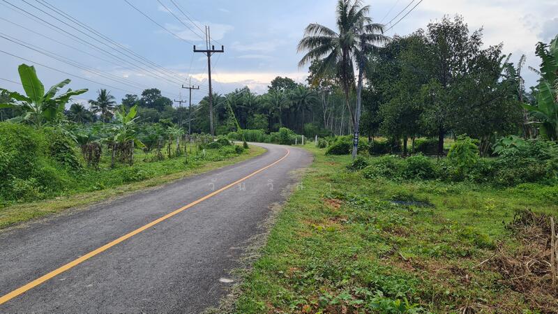 For Sale - ถนนนาโยงเหนือ-ย่านตาขาว ตำบลนาโยงเหนือ อำเภอนาโยง จังหวัดตรัง, Trang