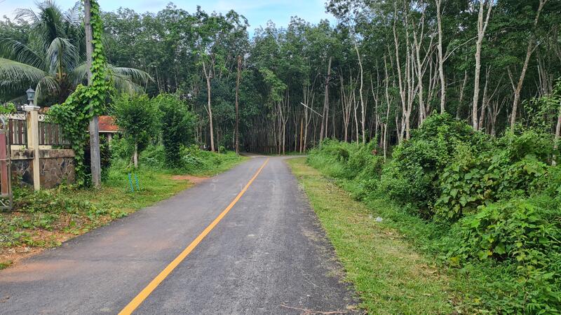 For Sale - ถนนนาโยงเหนือ-ย่านตาขาว ตำบลนาโยงเหนือ อำเภอนาโยง จังหวัดตรัง, Trang