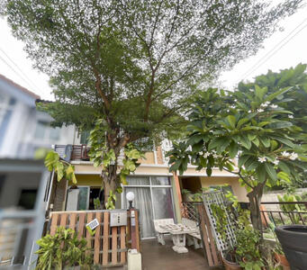 ขาย - Pruksa Ville 10 Petchkasem-Phutthamonthon Sai 4 : พฤกษาวิลล์ 10 เพชรเกษม-พุทธมณฑลสาย 4, นครปฐม