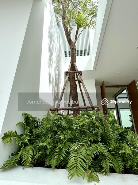 For Rent - House for rent Ramkhamhaeng soi 9, Bangkok