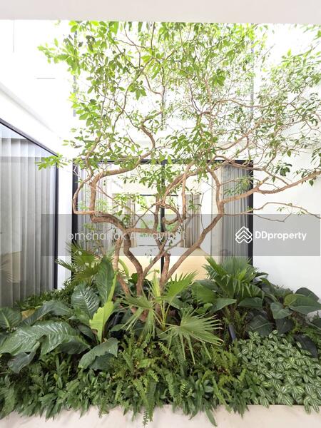 ให้เช่า - House for rent Ramkhamhaeng soi 9, กรุงเทพ