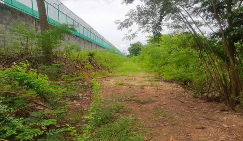 ที่ดินเปล่า คูบางหลวง-ลาดหลุมแก้ว เนื้อที่ 3-1-56 ไร่ ติดบจก.ชาญนครวิศวกรรม จ.ปทุมธานี, ปทุมธานี, คูบางหลวง, ลาดหลุมแก้ว, ปทุมธานี, 5,424 ตร.ม., ที่ดิน ขาย, โดย ชนะชาติ นนท์ตา, 60030493 - DDproperty.com