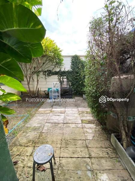 For Sale - Areeya Como Primo Bangna-Wongwaen, Samut Prakan