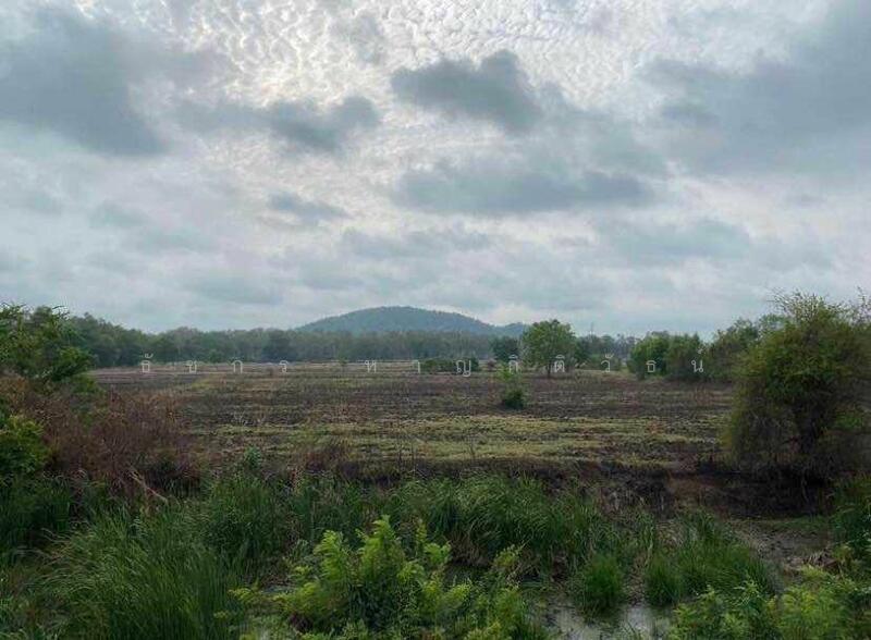 For Sale - ที่ดินติดถนนอินทร์บุรี-เชียงใหม่(11) 9ไร่ 3งาน, Nakhon Sawan