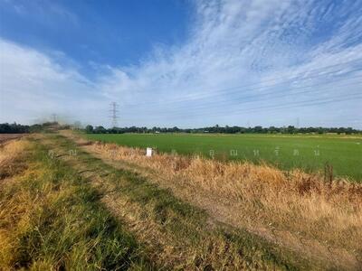 ขาย - ที่ดินเปล่า 800 ตร.ว. ที่ดิน ซอยประชาสำราญ1 ถนนประชาสำราญ ถนนคลองสิบสาม เขตหนองจอก กรุงเทพมหานคร, กรุงเทพ