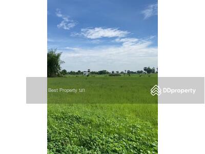 ขาย - ที่ดินบ้านฝาง ขอนแก่น, ขอนแก่น