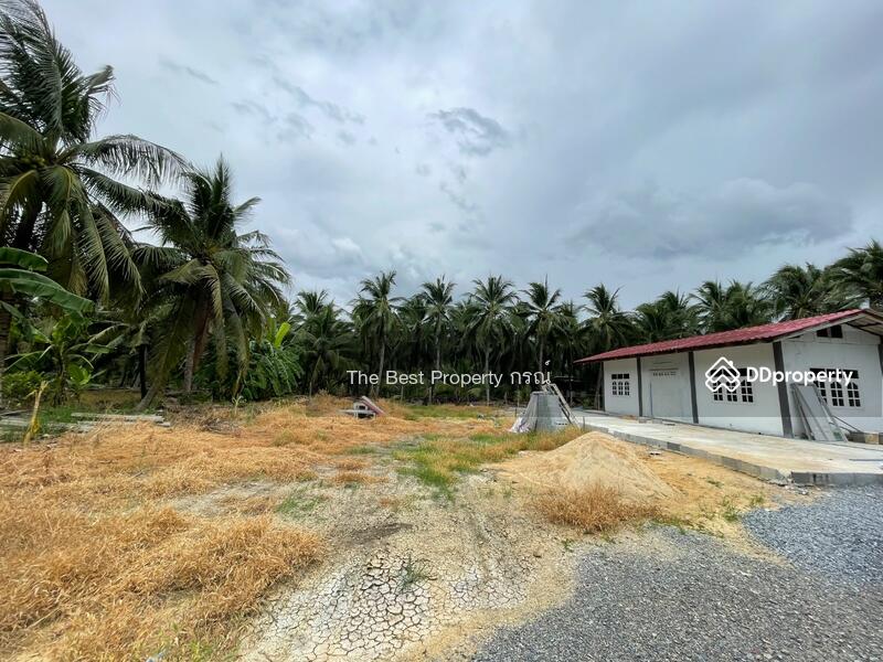 ขาย - ที่ดินสามพราน นครปฐม, นครปฐม