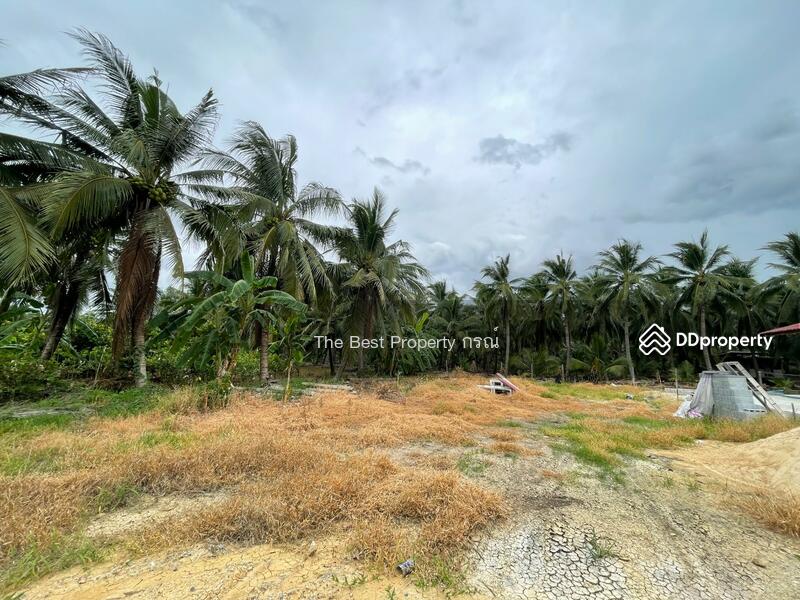 ขาย - ที่ดินสามพราน นครปฐม, นครปฐม