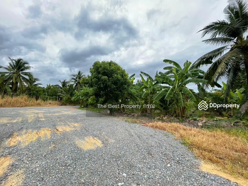 ขาย - ที่ดินสามพราน นครปฐม, นครปฐม