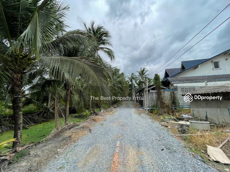 ขาย - ที่ดินสามพราน นครปฐม, นครปฐม