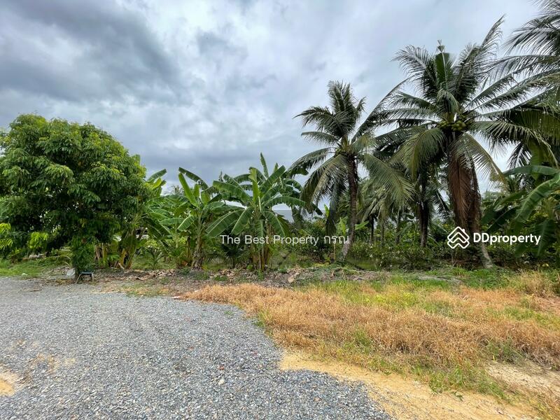 ขาย - ที่ดินสามพราน นครปฐม, นครปฐม