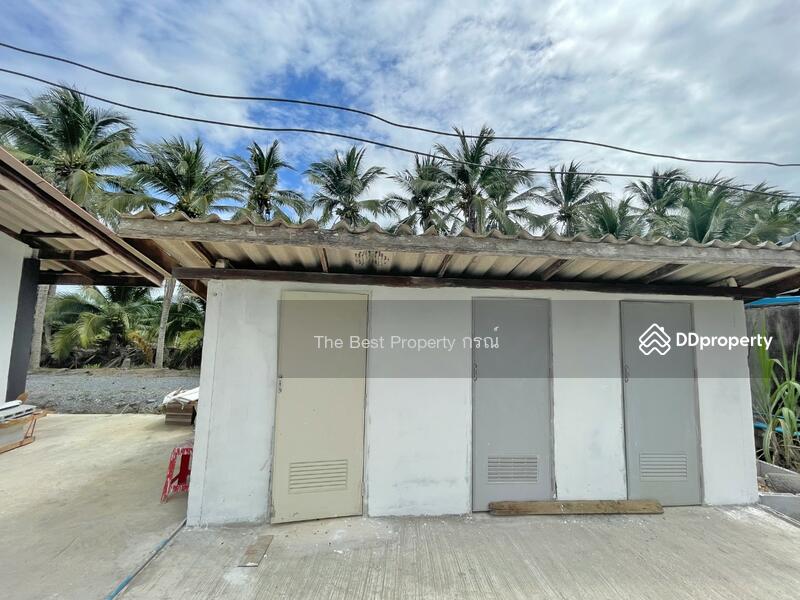 ขาย - ที่ดินสามพราน นครปฐม, นครปฐม
