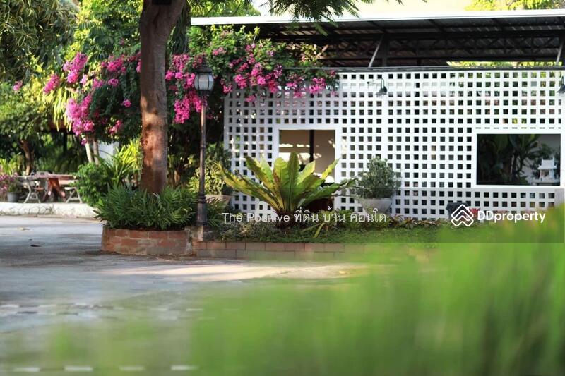 For Sale - Hotel business, land in the heart of Mae Rim, Rim Tai Subdistrict, Mae Rim District, Chiang Mai, Chiang Mai