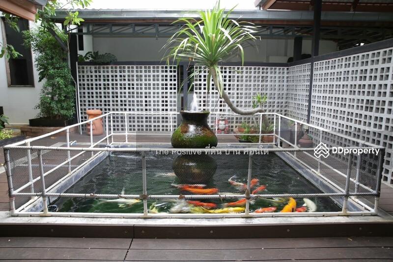 For Sale - Hotel business, land in the heart of Mae Rim, Rim Tai Subdistrict, Mae Rim District, Chiang Mai, Chiang Mai
