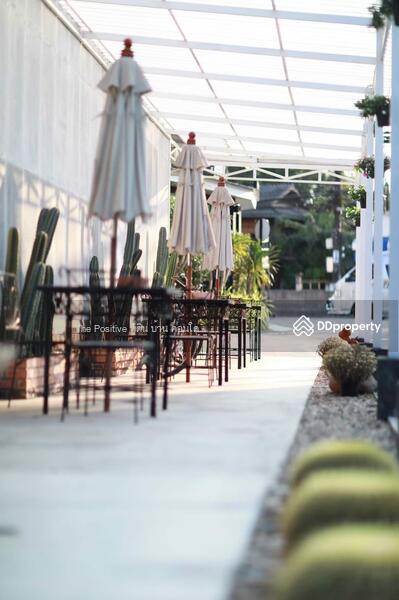For Sale - Hotel business, land in the heart of Mae Rim, Rim Tai Subdistrict, Mae Rim District, Chiang Mai, Chiang Mai
