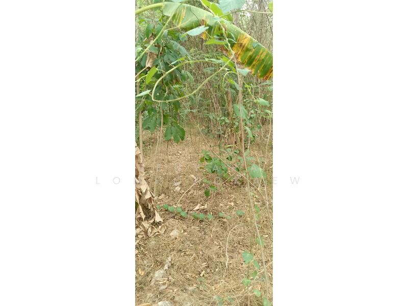 800002180 Land for sale 5 Rai 180 Sq.W. Bangyai.Good land.Prime Land for Sale on Nakhon In Road., Nonthaburi, นครอินทร์, Bang Khun Kong, Bang Kruai, Nonthaburi, , 8,720 sqm, Land For Sale, by Benyapa Lomkongkaew, 60032564 - DDproperty.com