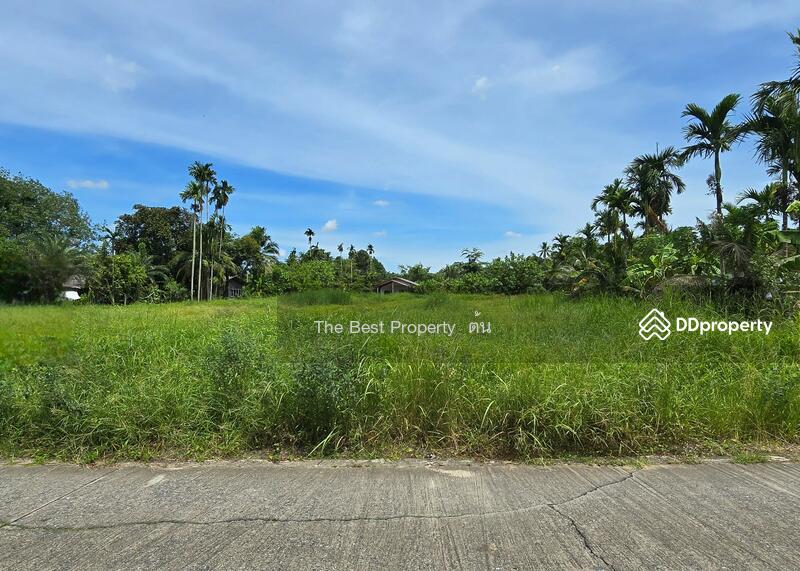 ขาย - ที่ดินบ้านค่าย ระยอง, ระยอง