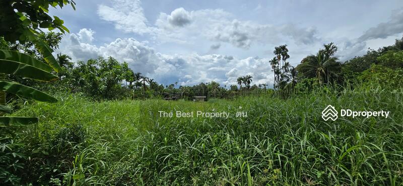 ขาย - ที่ดินบ้านค่าย ระยอง, ระยอง