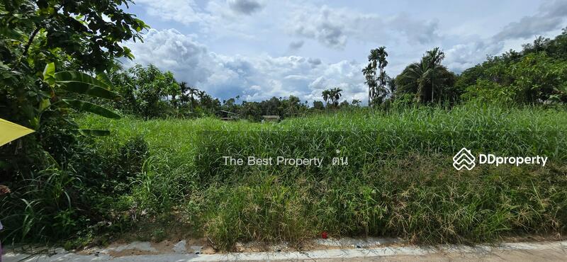 ขาย - ที่ดินบ้านค่าย ระยอง, ระยอง