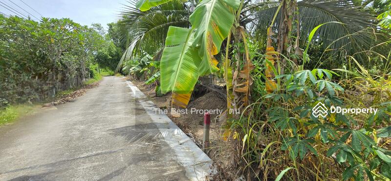 ขาย - ที่ดินบ้านค่าย ระยอง, ระยอง