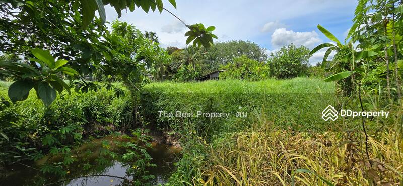 ขาย - ที่ดินบ้านค่าย ระยอง, ระยอง