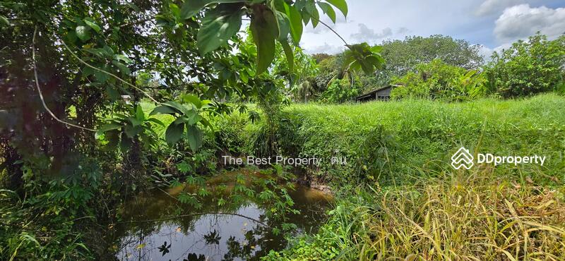ขาย - ที่ดินบ้านค่าย ระยอง, ระยอง