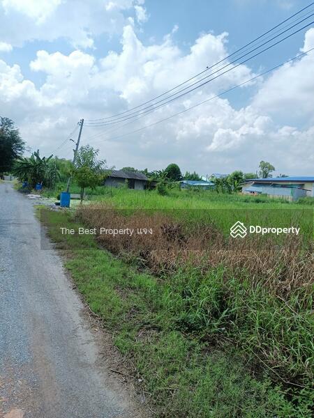 ขาย - ที่ดินนครชัยศรี นครปฐม, นครปฐม