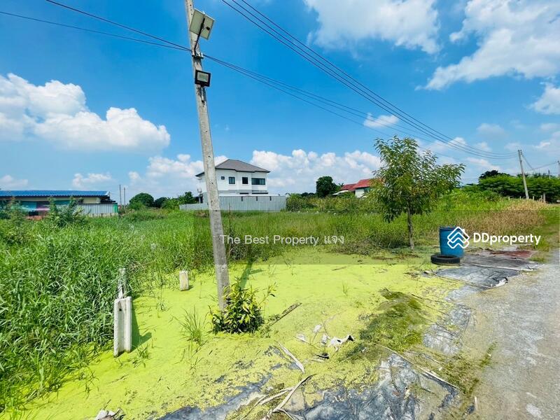 ขาย - ที่ดินนครชัยศรี นครปฐม, นครปฐม