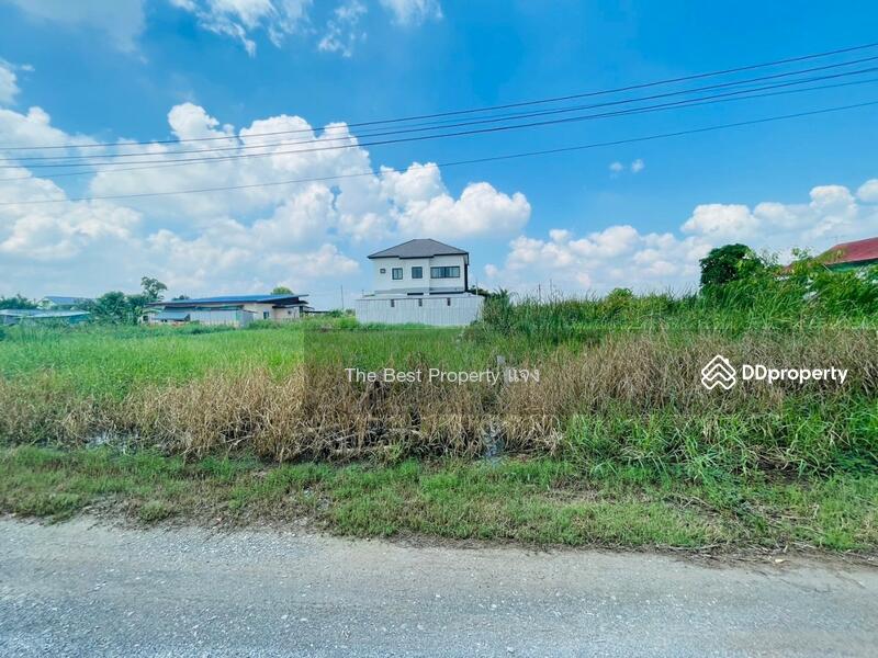 ขาย - ที่ดินนครชัยศรี นครปฐม, นครปฐม