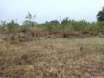 ที่ดินจอมบึง ราชบุรี, ราชบุรี