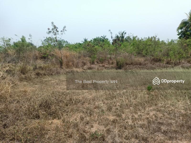 ขาย - ที่ดินจอมบึง ราชบุรี, ราชบุรี