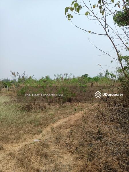 ขาย - ที่ดินจอมบึง ราชบุรี, ราชบุรี