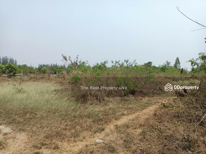 ขาย - ที่ดินจอมบึง ราชบุรี, ราชบุรี