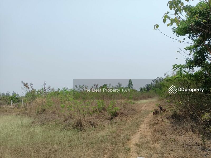 ขาย - ที่ดินจอมบึง ราชบุรี, ราชบุรี