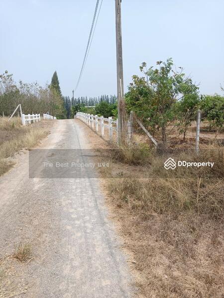 ขาย - ที่ดินจอมบึง ราชบุรี, ราชบุรี