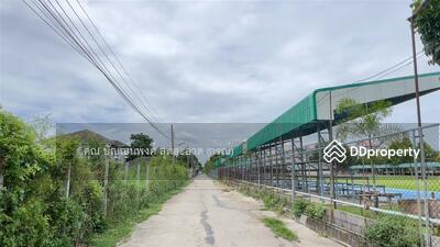 ขาย - ที่ดินเปล่า 200 ตร.ว. ที่ดินเปล่า ติด ร.ร.สารสาสน์สายไหม ซอยสายไหม82 ถนนสายไหม ถนนถนนพหลโยธิน, กรุงเทพ