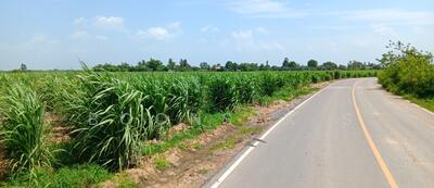 ขาย - ขาย ที่ดิน 39 ไร่ 84 ตร.วา ไร่ละ 570,000 บาท ติดถนนลาดยาง คลองชลประทาน กำแพงแสน, นครปฐม
