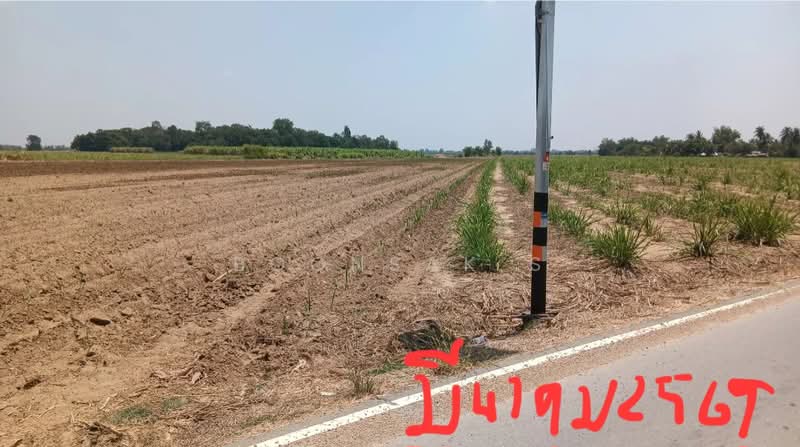 ขาย ที่ดิน 39 ไร่ 84 ตร.วา ไร่ละ 570,000 บาท ติดถนนลาดยาง คลองชลประทาน กำแพงแสน, Nakhon Pathom, Nong Krathum, Kamphaeng Saen, Nakhon Pathom, , 62,736 sqm, Land For Sale, by Boonsak S, 60033194 - DDproperty.com