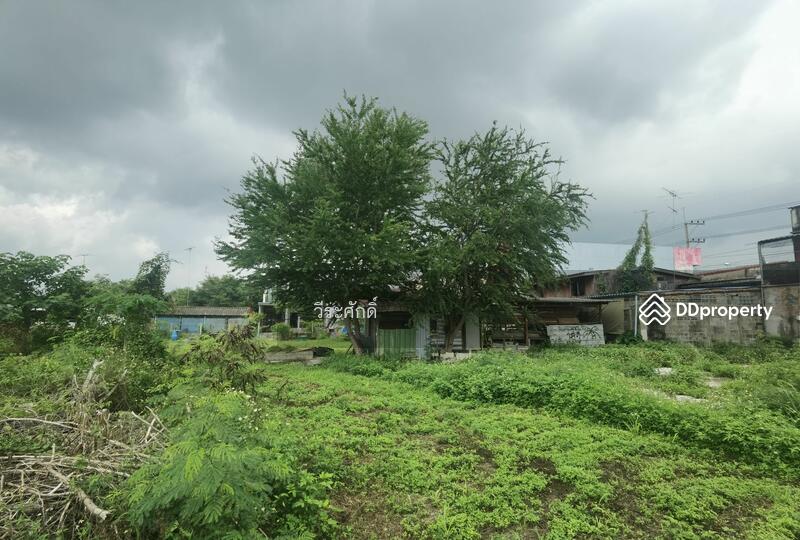 For Sale - Land for sale on Mittraphap Road Behind the Lotus Ko Fresh, Pak Chong, Nakhon Ratchasima, Nakhon Ratchasima