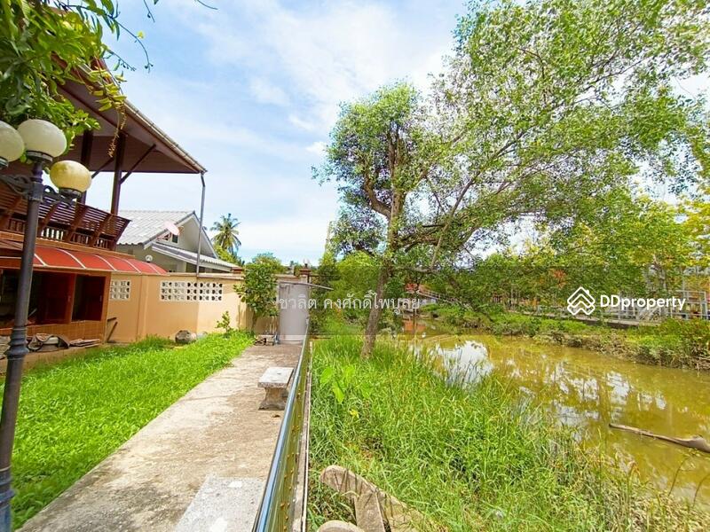 ขาย - ขาย บ้านริมน้ำ อัมพวา ด้านข้างติดคลอง ด้านหน้าติดถนนสวนหลวง ใกล้แหล่งท่องเที่ยว บ้านทรงไทย, สมุทรสงคราม