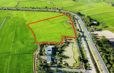 ขาย - ที่ดิน อยุธยา บางไทร บ้านกลึง 10-2-75 ตร.ว. แปลงสวยติดถนน ติดคลองชลประทาน (740,000/ไร่), พระนครศรีอยุธยา