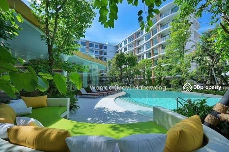 ขาย - Phyll Phuket : ฟีล ภูเก็ต, ภูเก็ต