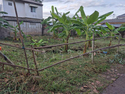 ขาย - ขายที่ดินแปลงมุม 70 ตารางวา อยู่ในหมู่บ้านเทียมพร ซอยมหาโชค 13 ถนนโชตนา 22 ตำบลป่าตัน เมืองเชียงใหม่, เชียงใหม่