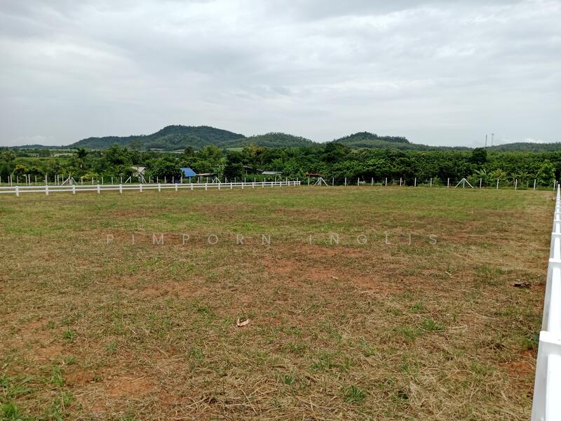 Ascot Land – ที่ดินแบ่งแปลง ถนน ไฟฟ้า น้ำ พร้อม - plots include electricity and water.